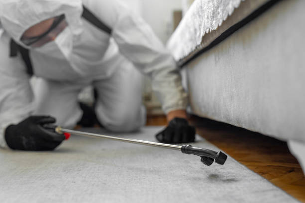 Professional Ant Control technician working in Flanders, NY
