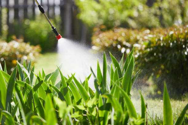 24/7 Emergency Mosquito Control experts in Flanders, NY