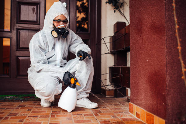 Reliable Mosquito Control contractor in Flanders, NY by Show Me Pest Control